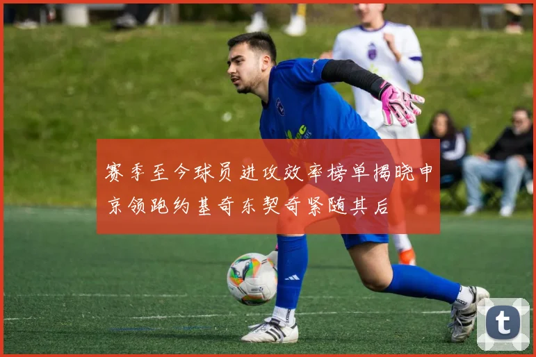 赛季至今球员进攻效率榜单揭晓申京领跑约基奇东契奇紧随其后