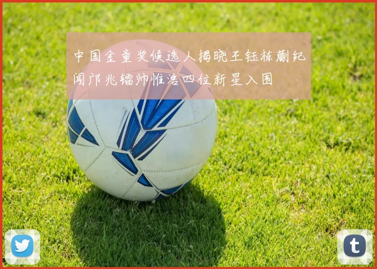 中国金童奖候选人揭晓王钰栋蒯纪闻邝兆镭帅惟浩四位新星入围