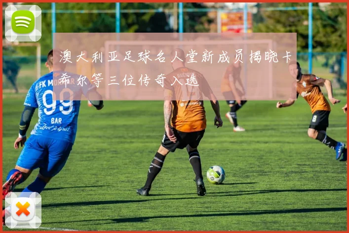 澳大利亚足球名人堂新成员揭晓卡希尔等三位传奇入选