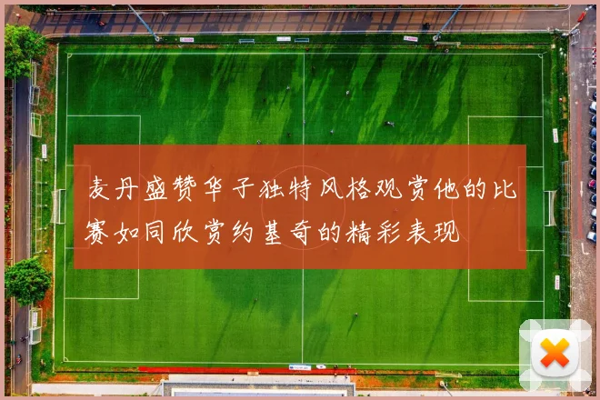 麦丹盛赞华子独特风格观赏他的比赛如同欣赏约基奇的精彩表现