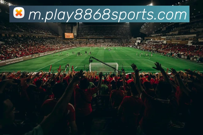 8868体育APP 封面图